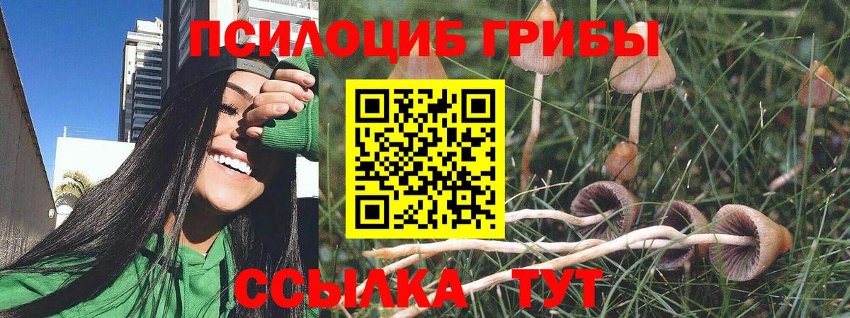 Псилоцибиновые грибы ЛСД Жуковский