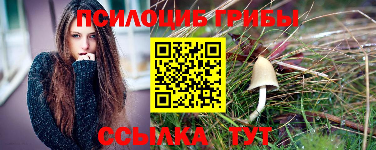 Жуковский  Псилоцибиновые грибы Psilocybine cubensis  Вход с VPN 